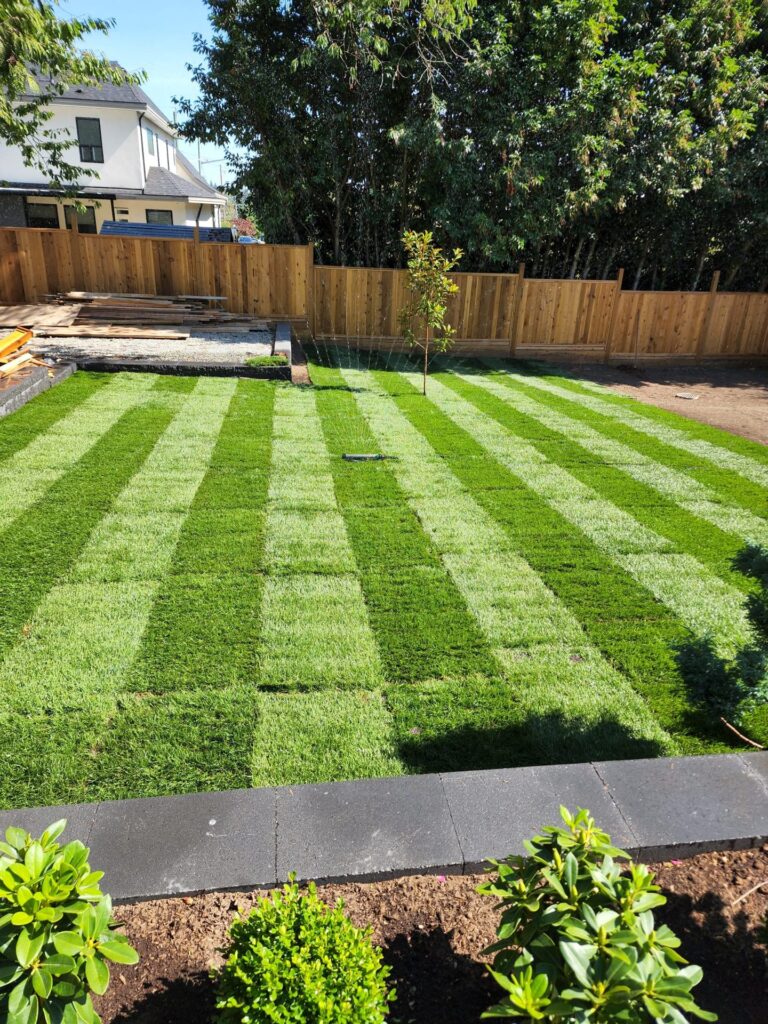 hero alternative striped lawn
